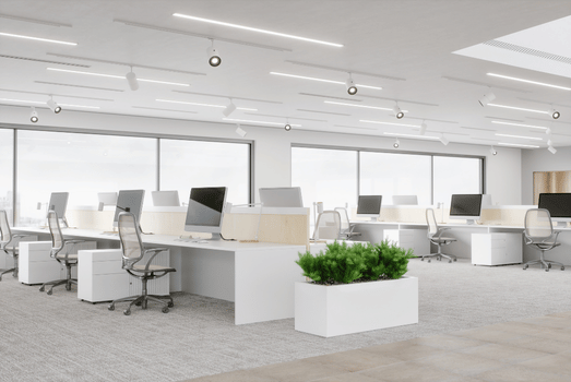 Bright, modern open-plan office with white desks, computers, ergonomic chairs, large windows, and a central green planter; clean, calm atmosphere.
